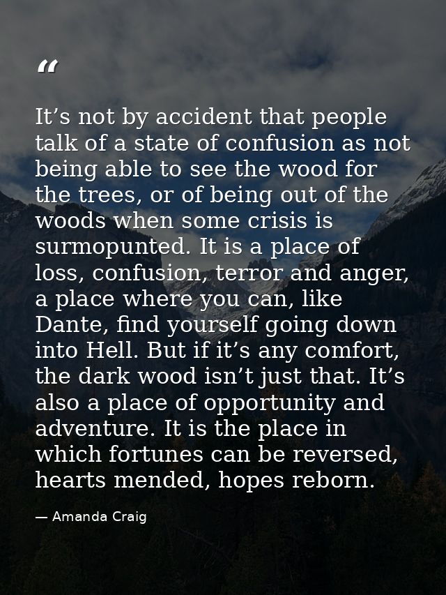 It’s not by accident that people talk of a state of confusion as not being able to see the wood for the trees, or of bei — Amanda Craig