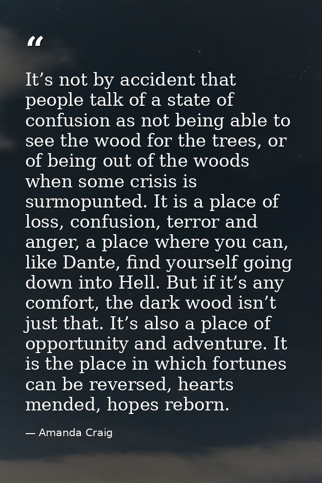 It’s not by accident that people talk of a state of confusion as not being able to see the wood for the trees, or of bei — Amanda Craig