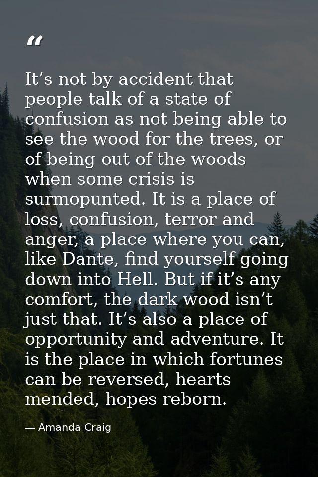 It’s not by accident that people talk of a state of confusion as not being able to see the wood for the trees, or of bei — Amanda Craig