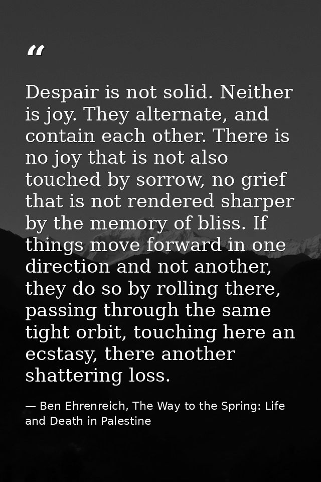 Despair is not solid. Neither is joy. They alternate, and contain each other. There is no joy that is not also touched b — Ben Ehrenreich, The Way to the Spring: Life and Death in Palestine