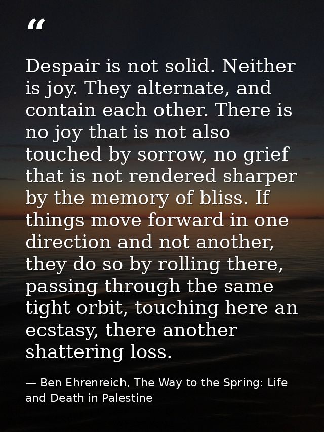 Despair is not solid. Neither is joy. They alternate, and contain each other. There is no joy that is not also touched b — Ben Ehrenreich, The Way to the Spring: Life and Death in Palestine