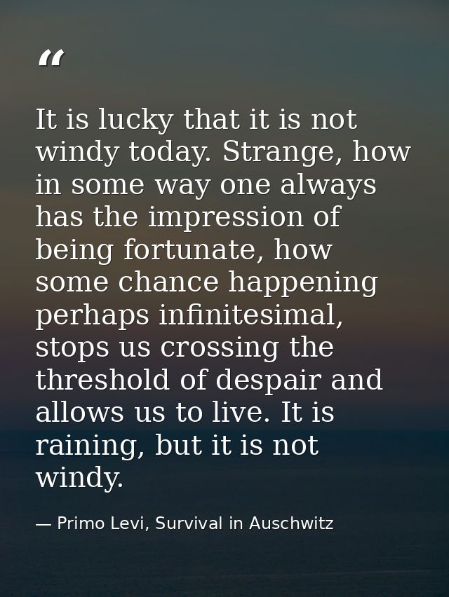 It is lucky that it is not windy today. Strange, how in some way one always has the impression of being fortunate, how s — Primo Levi, Survival in Auschwitz
