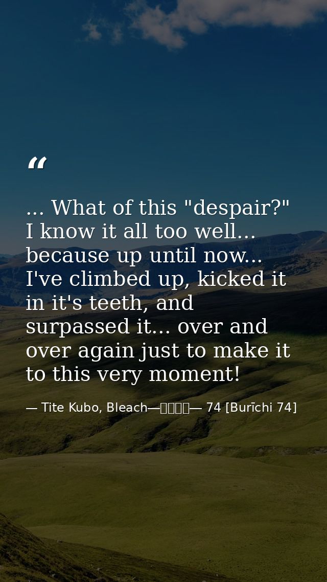 ... What of this "despair?" I know it all too well... because up until now... I've climbed up, kicked it in it's teeth,  — Tite Kubo, Bleach―ブリーチ― 74 [Burīchi 74]