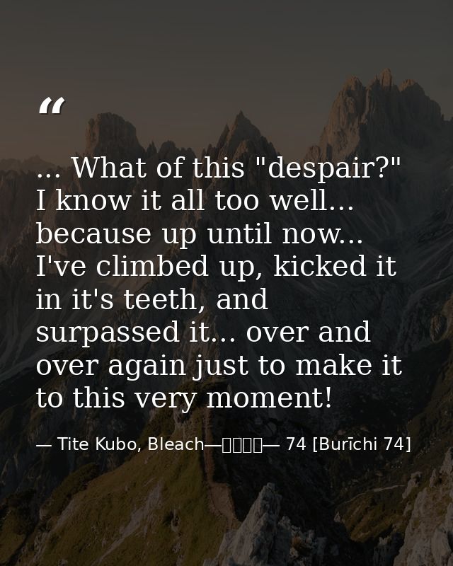 ... What of this "despair?" I know it all too well... because up until now... I've climbed up, kicked it in it's teeth,  — Tite Kubo, Bleach―ブリーチ― 74 [Burīchi 74]