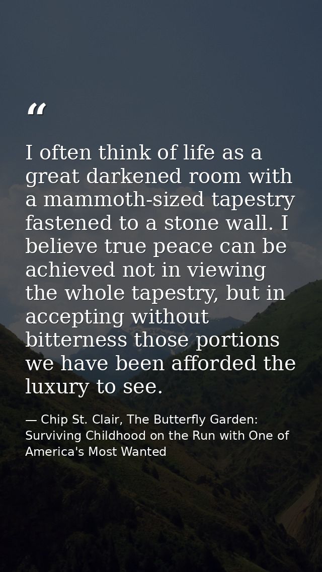 I often think of life as a great darkened room with a mammoth-sized tapestry fastened to a stone wall. I believe true pe — Chip St. Clair, The Butterfly Garden: Surviving Childhood on the Run with One of America's Most Wanted