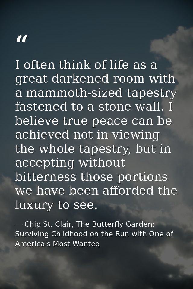 I often think of life as a great darkened room with a mammoth-sized tapestry fastened to a stone wall. I believe true pe — Chip St. Clair, The Butterfly Garden: Surviving Childhood on the Run with One of America's Most Wanted