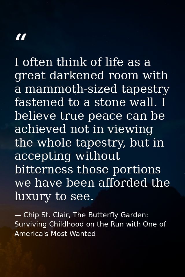 I often think of life as a great darkened room with a mammoth-sized tapestry fastened to a stone wall. I believe true pe — Chip St. Clair, The Butterfly Garden: Surviving Childhood on the Run with One of America's Most Wanted