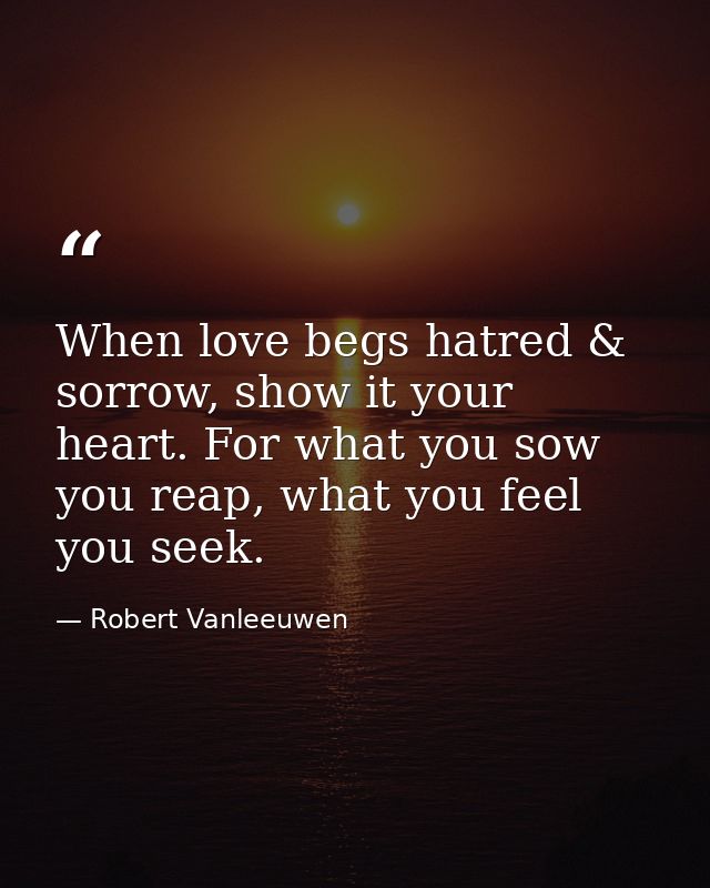 When love begs hatred & sorrow, show it your heart. For what you sow you reap, what you feel you seek. — Robert Vanleeuwen
