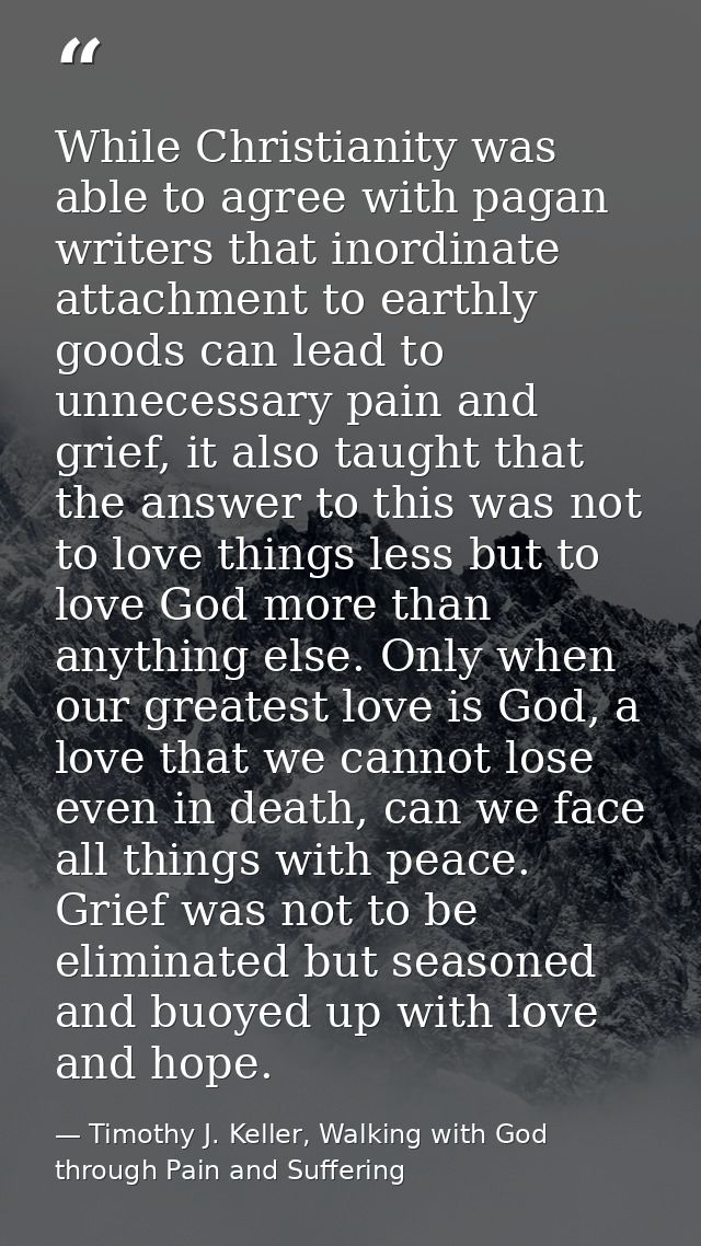 While Christianity was able to agree with pagan writers that inordinate attachment to earthly goods can lead to unnecess — Timothy J. Keller, Walking with God through Pain and Suffering