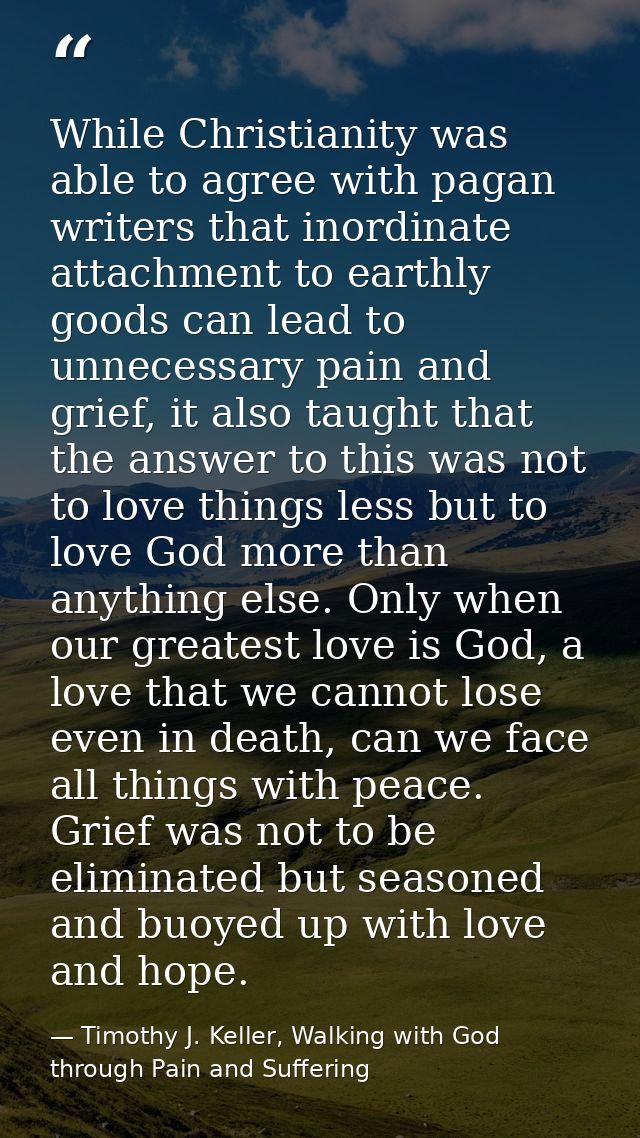 While Christianity was able to agree with pagan writers that inordinate attachment to earthly goods can lead to unnecess — Timothy J. Keller, Walking with God through Pain and Suffering