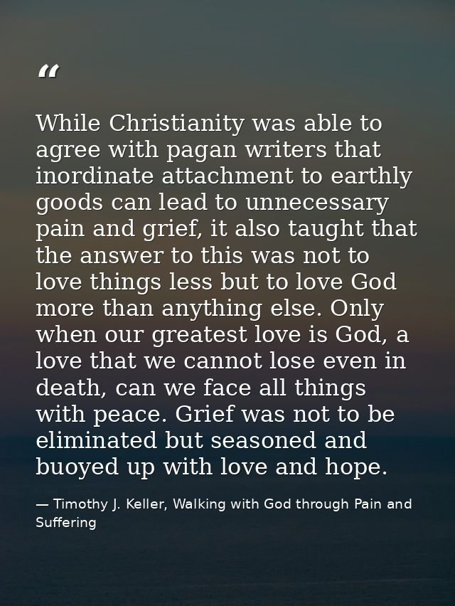 While Christianity was able to agree with pagan writers that inordinate attachment to earthly goods can lead to unnecess — Timothy J. Keller, Walking with God through Pain and Suffering