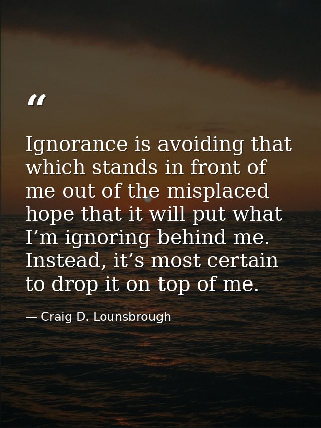 Ignorance is avoiding that which stands in front of me out of the misplaced hope that it will put what I’m ignoring behi — Craig D. Lounsbrough