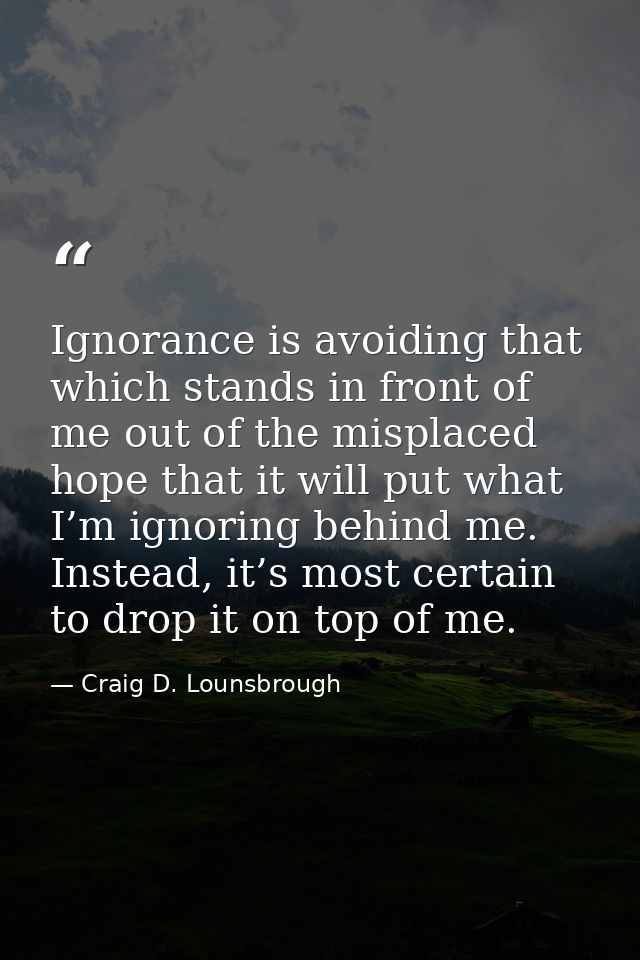 Ignorance is avoiding that which stands in front of me out of the misplaced hope that it will put what I’m ignoring behi — Craig D. Lounsbrough
