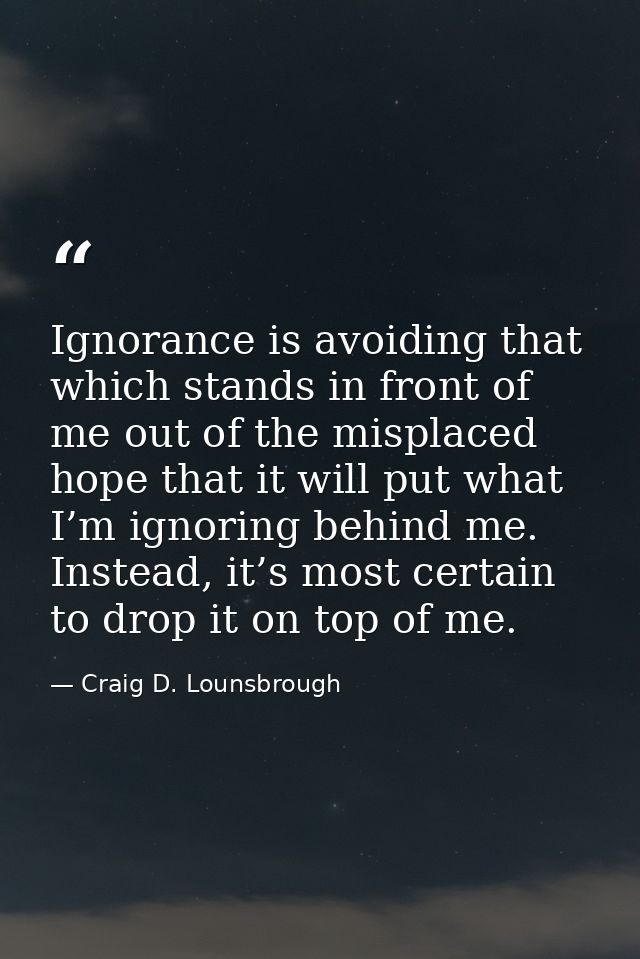 Ignorance is avoiding that which stands in front of me out of the misplaced hope that it will put what I’m ignoring behi — Craig D. Lounsbrough