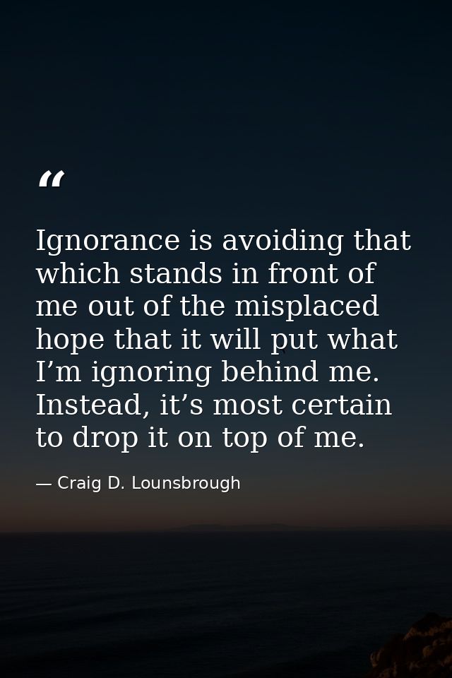 Ignorance is avoiding that which stands in front of me out of the misplaced hope that it will put what I’m ignoring behi — Craig D. Lounsbrough