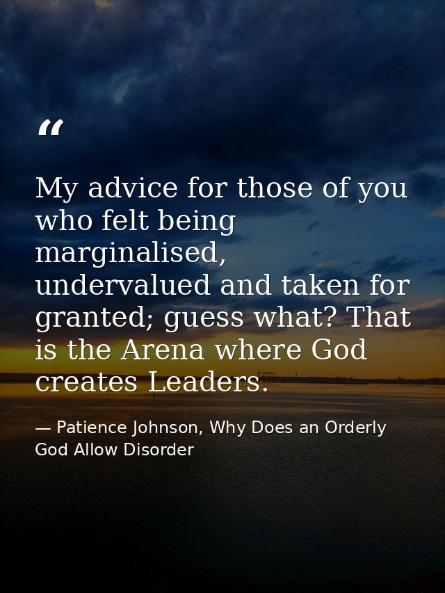 My advice for those of you who felt being marginalised, undervalued and taken for granted; guess what? That is the Arena — Patience Johnson, Why Does an Orderly God Allow Disorder