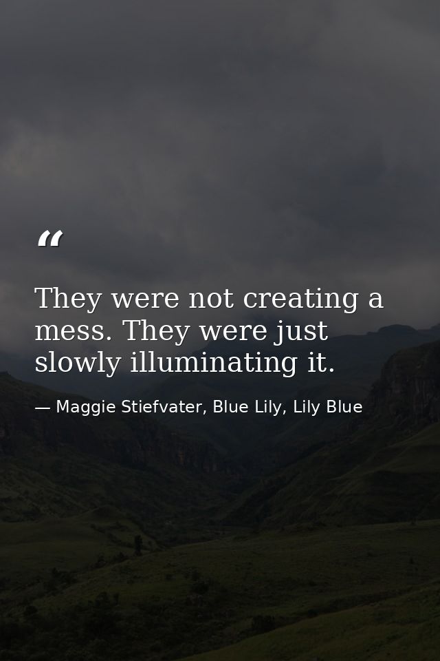 They were not creating a mess. They were just slowly illuminating it. — Maggie Stiefvater, Blue Lily, Lily Blue
