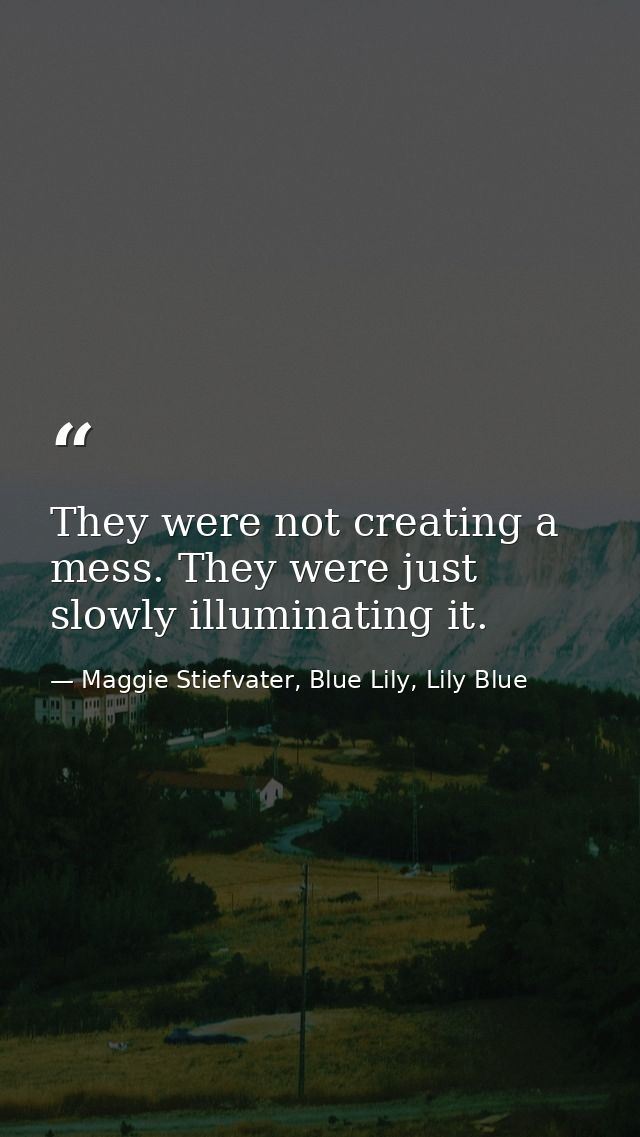 They were not creating a mess. They were just slowly illuminating it. — Maggie Stiefvater, Blue Lily, Lily Blue