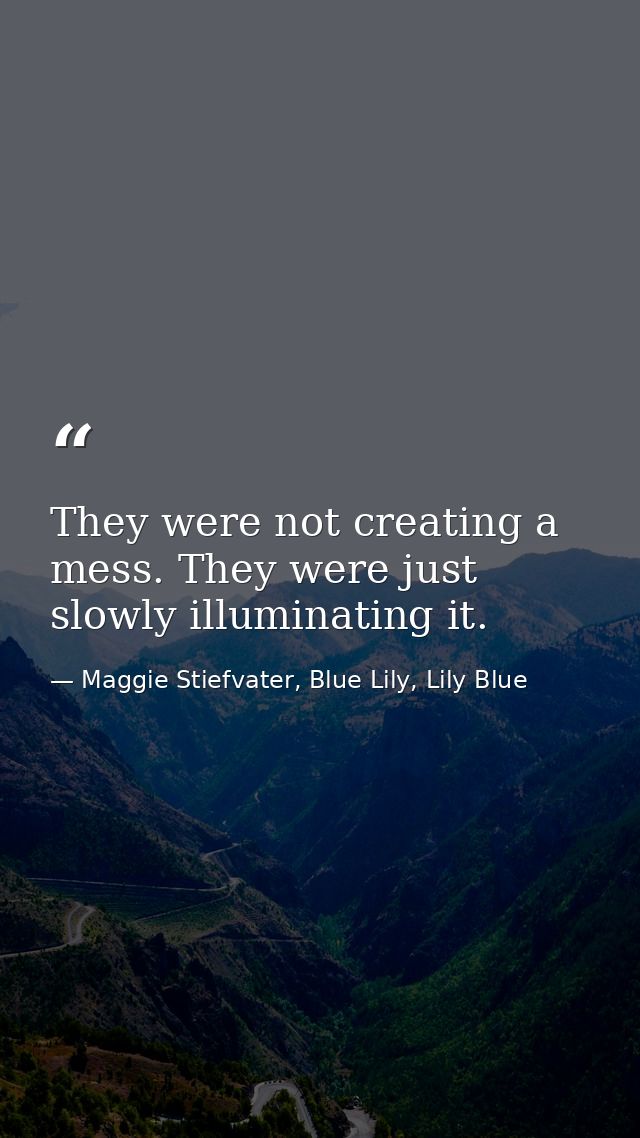 They were not creating a mess. They were just slowly illuminating it. — Maggie Stiefvater, Blue Lily, Lily Blue