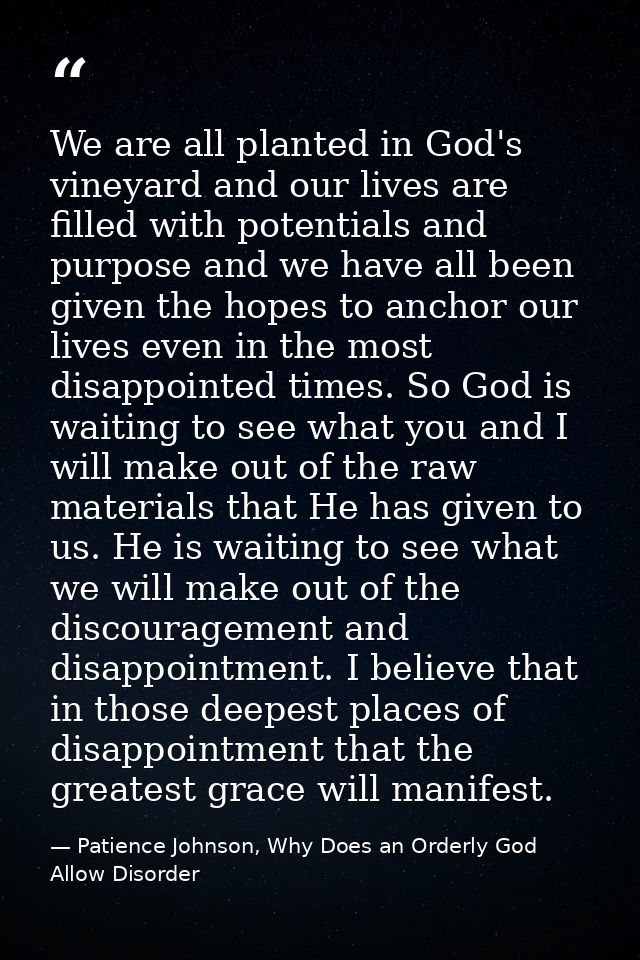 We are all planted in God's vineyard and our lives are filled with potentials and purpose and we have all been given the — Patience Johnson, Why Does an Orderly God Allow Disorder