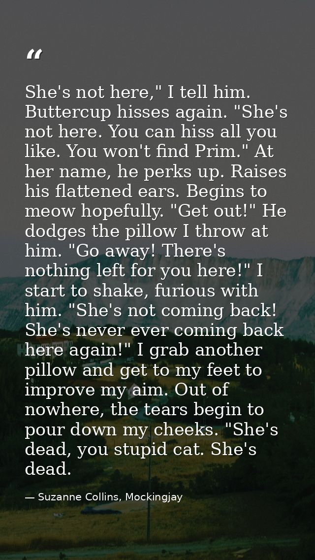 She's not here," I tell him. Buttercup hisses again. "She's not here. You can hiss all you like. You won't find Prim." A — Suzanne Collins, Mockingjay