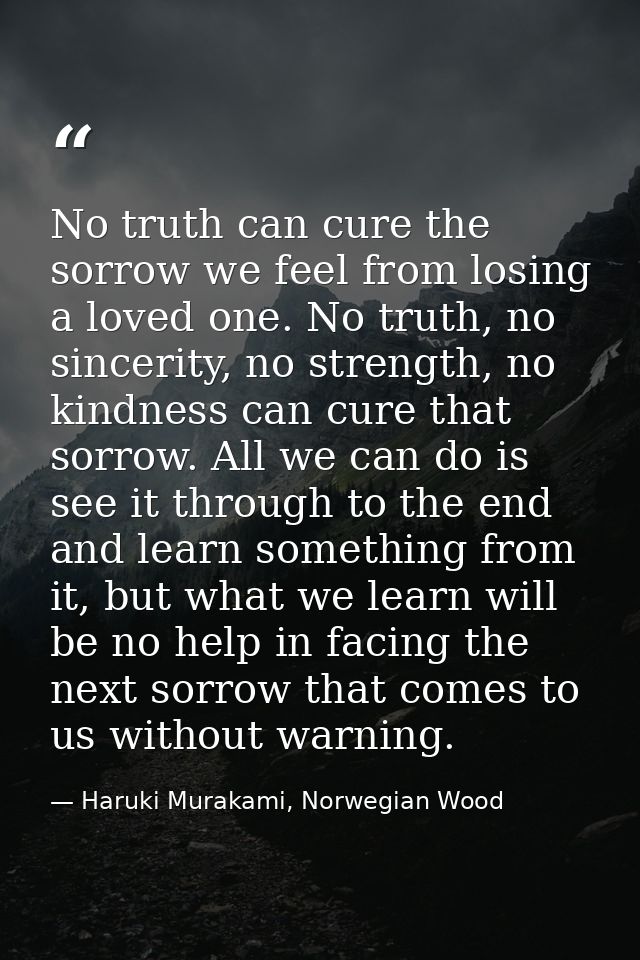 No truth can cure the sorrow we feel from losing a loved one. No truth, no sincerity, no strength, no kindness can cure  — Haruki Murakami, Norwegian Wood