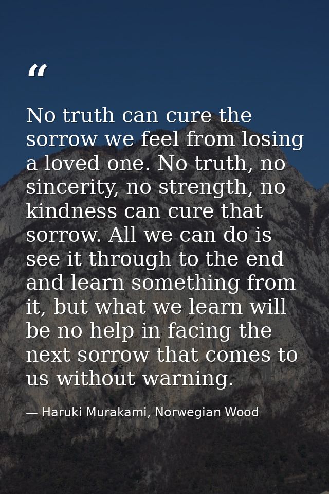 No truth can cure the sorrow we feel from losing a loved one. No truth, no sincerity, no strength, no kindness can cure  — Haruki Murakami, Norwegian Wood