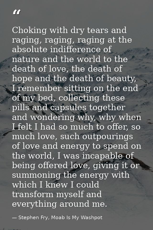 Choking with dry tears and raging, raging, raging at the absolute indifference of nature and the world to the death of l — Stephen Fry, Moab Is My Washpot