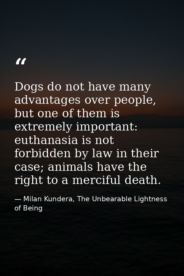 Dogs do not have many advantages over people, but one of them is extremely important: euthanasia is not forbidden by law — Milan Kundera, The Unbearable Lightness of Being