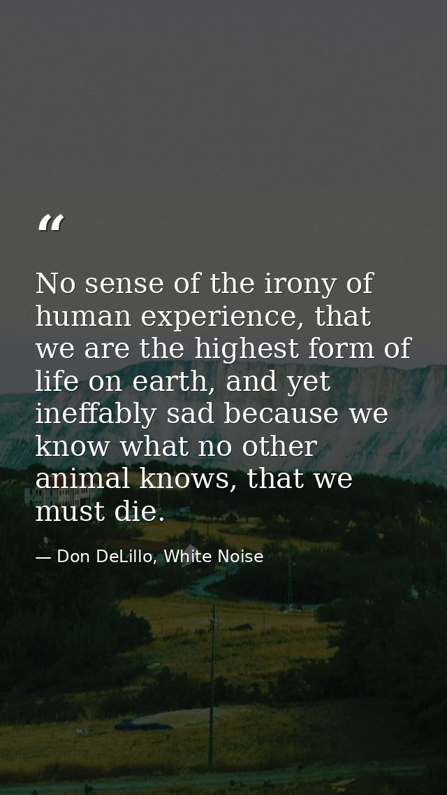 No sense of the irony of human experience, that we are the highest form of life on earth, and yet ineffably sad because  — Don DeLillo, White Noise