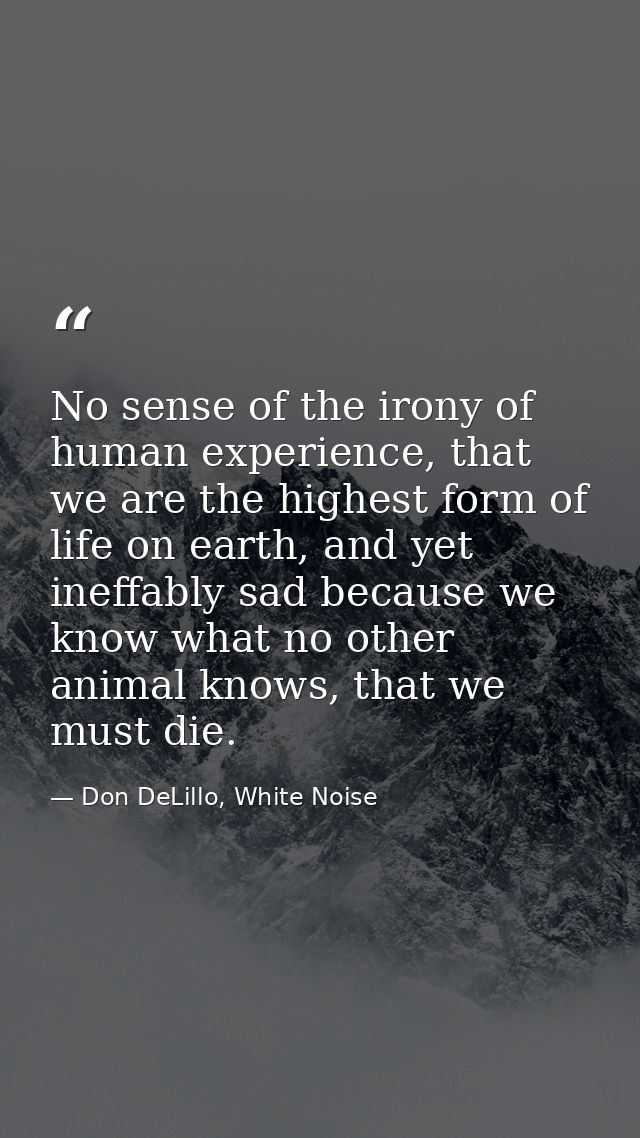 No sense of the irony of human experience, that we are the highest form of life on earth, and yet ineffably sad because  — Don DeLillo, White Noise
