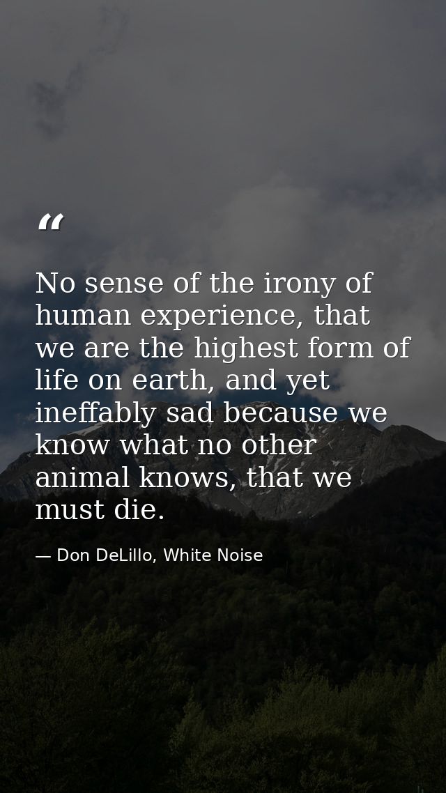 No sense of the irony of human experience, that we are the highest form of life on earth, and yet ineffably sad because  — Don DeLillo, White Noise