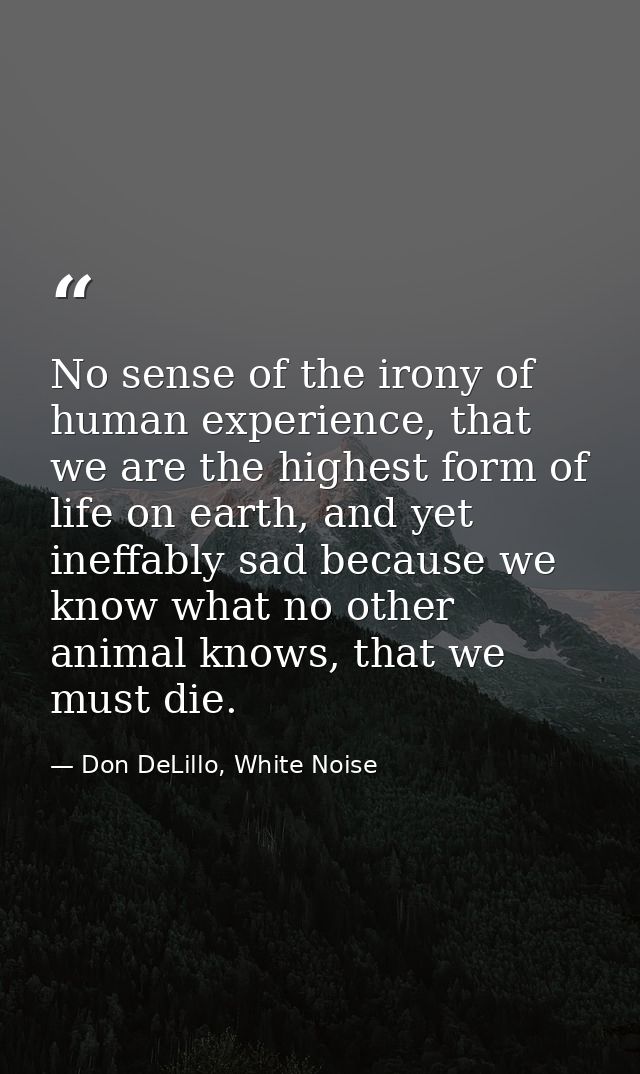 No sense of the irony of human experience, that we are the highest form of life on earth, and yet ineffably sad because  — Don DeLillo, White Noise