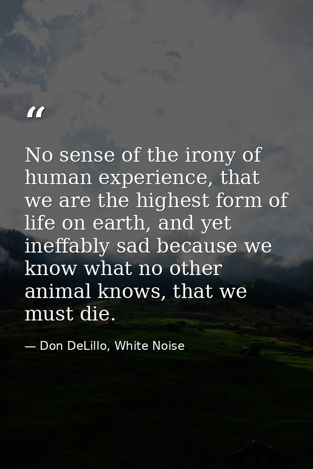 No sense of the irony of human experience, that we are the highest form of life on earth, and yet ineffably sad because  — Don DeLillo, White Noise