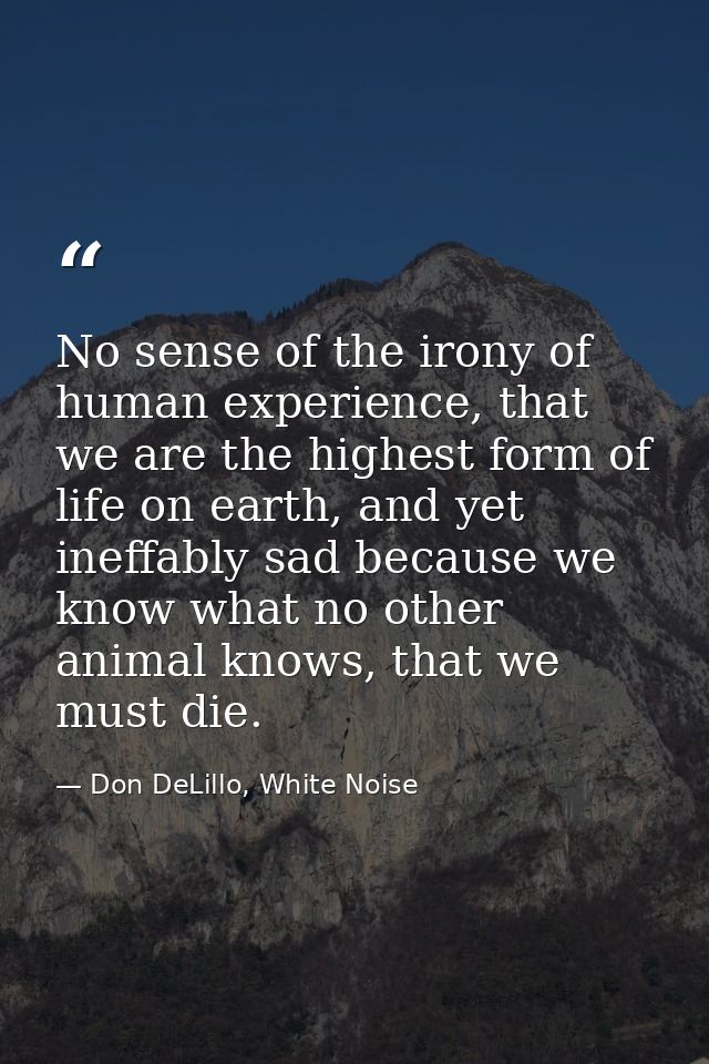No sense of the irony of human experience, that we are the highest form of life on earth, and yet ineffably sad because  — Don DeLillo, White Noise