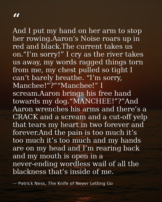 And I put my hand on her arm to stop her rowing.Aaron’s Noise roars up in red and black.The current takes us on.“I’m sor — Patrick Ness, The Knife of Never Letting Go