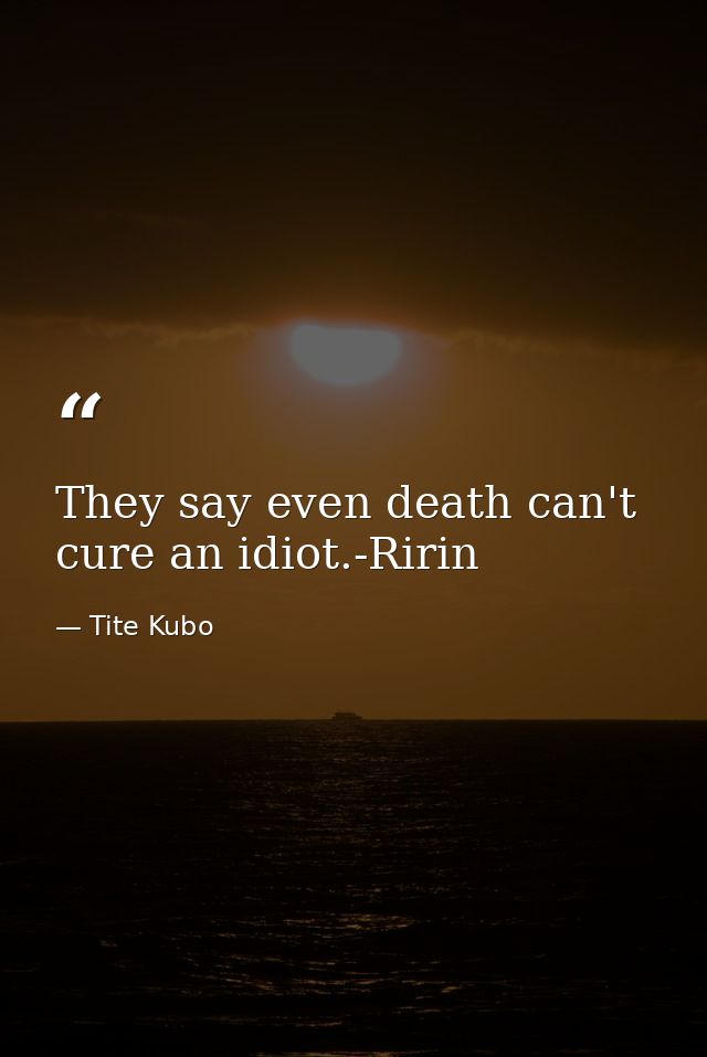 They say even death can't cure an idiot.-Ririn — Tite Kubo