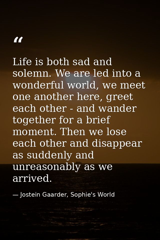 Life is both sad and solemn. We are led into a wonderful world, we meet one another here, greet each other - and wander  — Jostein Gaarder, Sophie's World