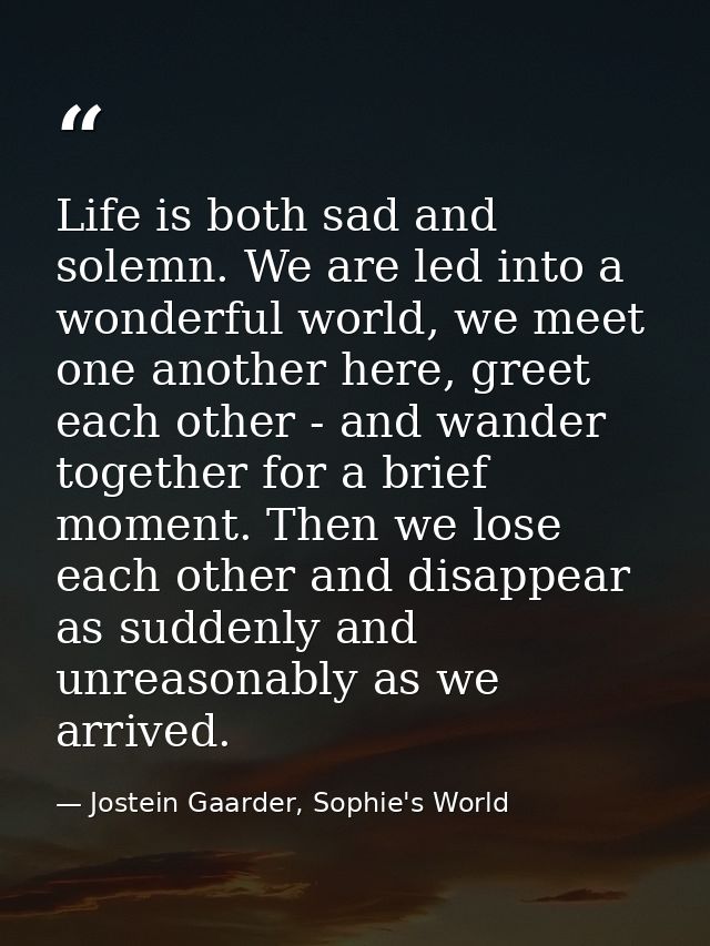 Life is both sad and solemn. We are led into a wonderful world, we meet one another here, greet each other - and wander  — Jostein Gaarder, Sophie's World