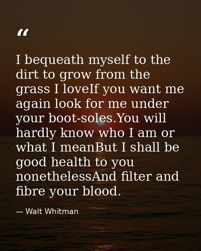 I bequeath myself to the dirt to grow from the grass I loveIf you want me again look for me under your boot-soles.You wi — Walt Whitman