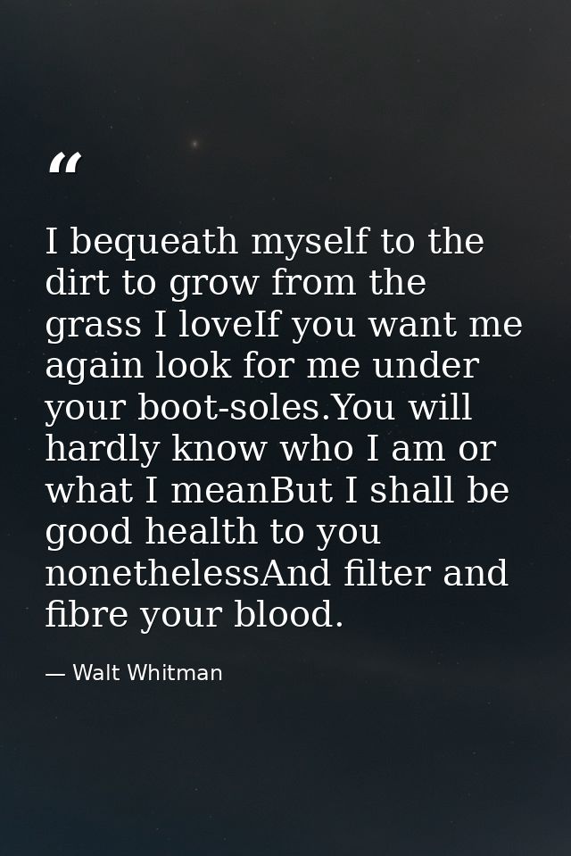 I bequeath myself to the dirt to grow from the grass I loveIf you want me again look for me under your boot-soles.You wi — Walt Whitman