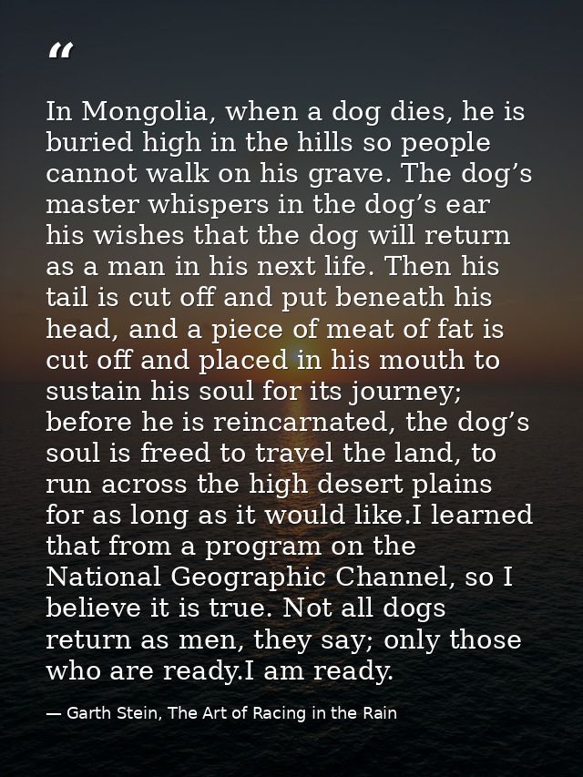In Mongolia, when a dog dies, he is buried high in the hills so people cannot walk on his grave. The dog’s master whispe — Garth Stein, The Art of Racing in the Rain
