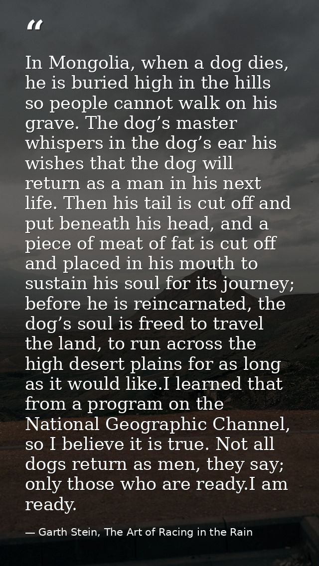 In Mongolia, when a dog dies, he is buried high in the hills so people cannot walk on his grave. The dog’s master whispe — Garth Stein, The Art of Racing in the Rain