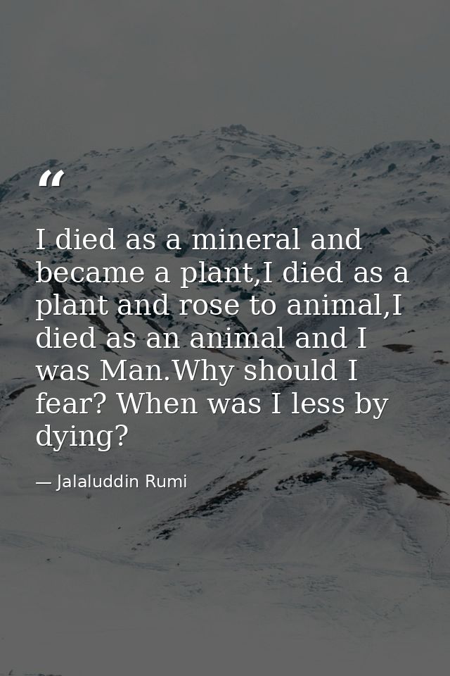 I died as a mineral and became a plant,I died as a plant and rose to animal,I died as an animal and I was Man.Why should — Jalaluddin Rumi