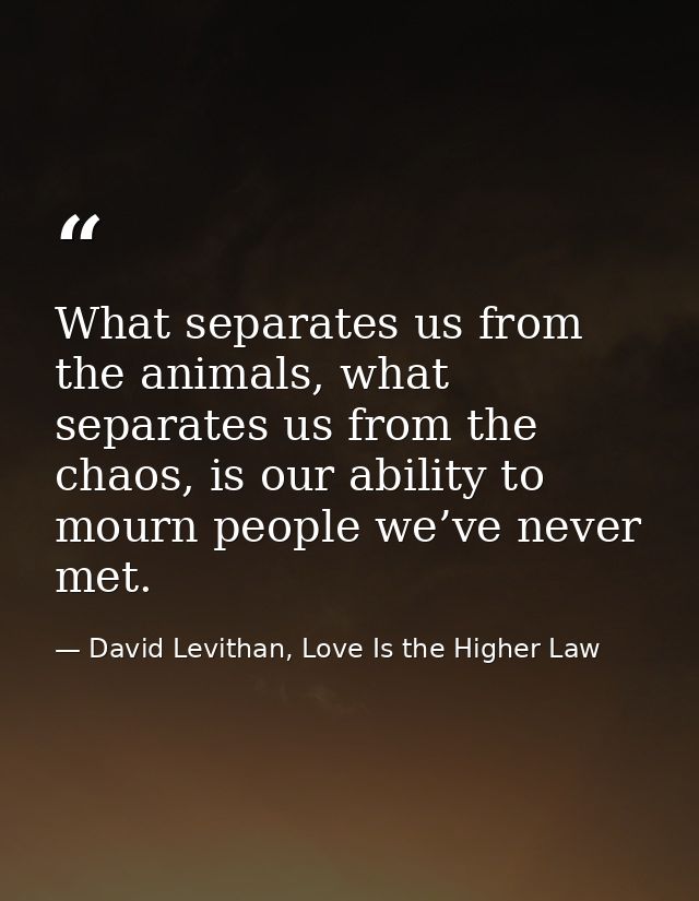 What separates us from the animals, what separates us from the chaos, is our ability to mourn people we’ve never met. — David Levithan, Love Is the Higher Law