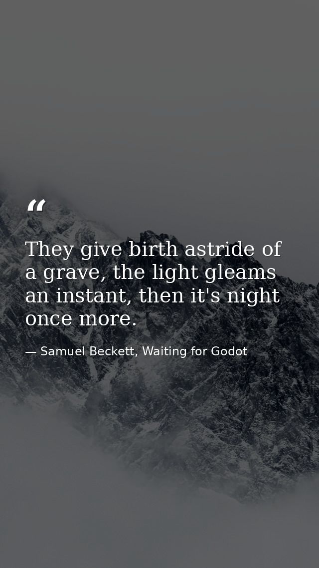 They give birth astride of a grave, the light gleams an instant, then it's night once more. — Samuel Beckett, Waiting for Godot