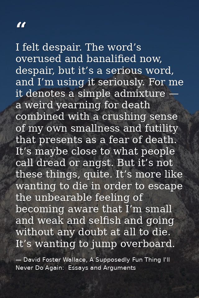 I felt despair. The word’s overused and banalified now, despair, but it’s a serious word, and I’m using it seriously. Fo — David Foster Wallace, A Supposedly Fun Thing I'll Never Do Again:  Essays and Arguments