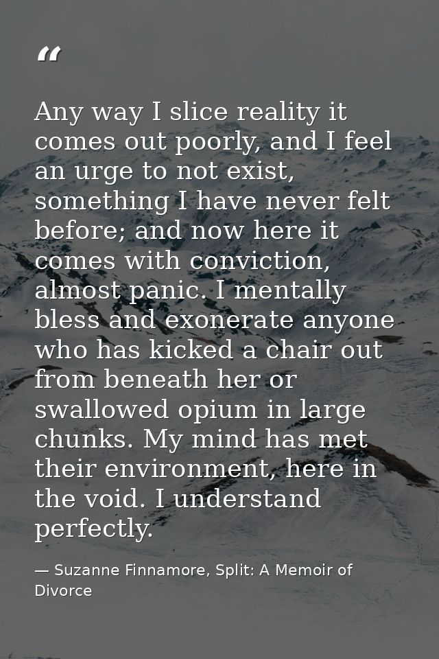 Any way I slice reality it comes out poorly, and I feel an urge to not exist, something I have never felt before; and no — Suzanne Finnamore, Split: A Memoir of Divorce