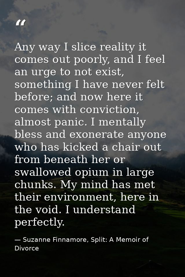 Any way I slice reality it comes out poorly, and I feel an urge to not exist, something I have never felt before; and no — Suzanne Finnamore, Split: A Memoir of Divorce