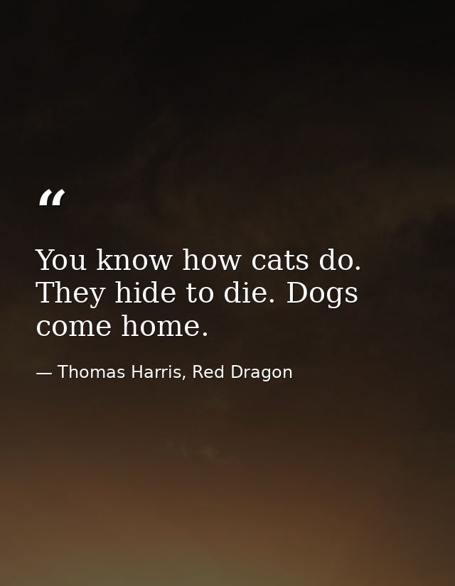 You know how cats do. They hide to die. Dogs come home. — Thomas Harris, Red Dragon